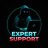 Expert